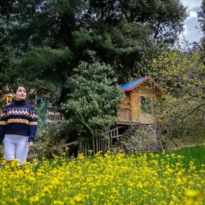 Jibhi Green Tree House – photo 1