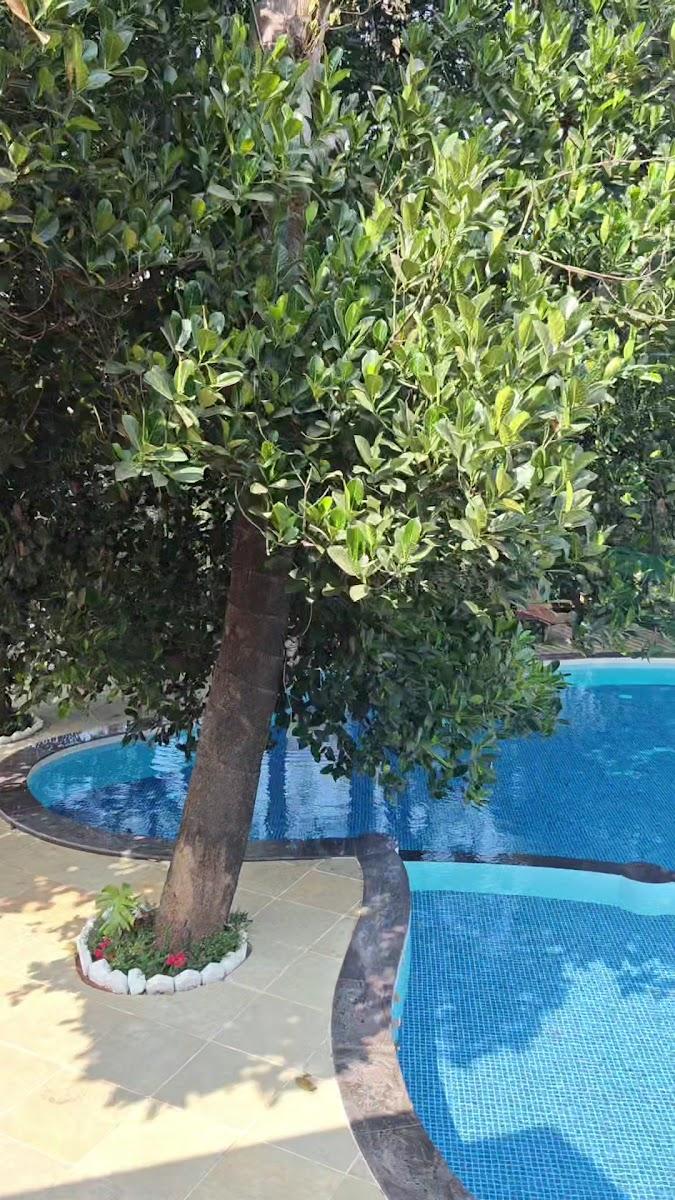 Green Gate Resort – photo 2