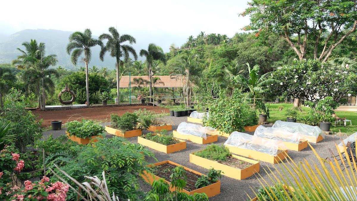 The Riverstone Agro Farm – photo 1
