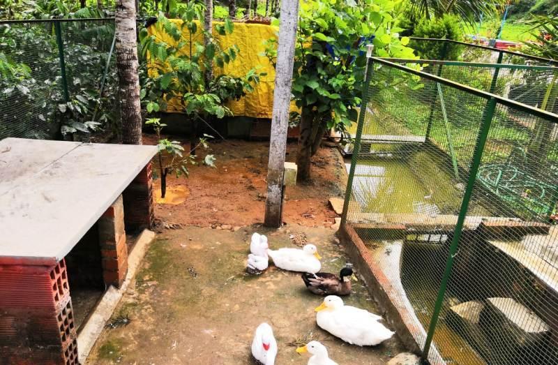 Nature Nestate Home Stay – photo 2