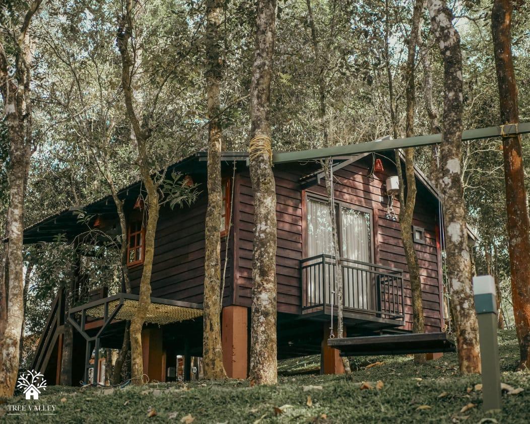 Tree Valley Resort – photo 1