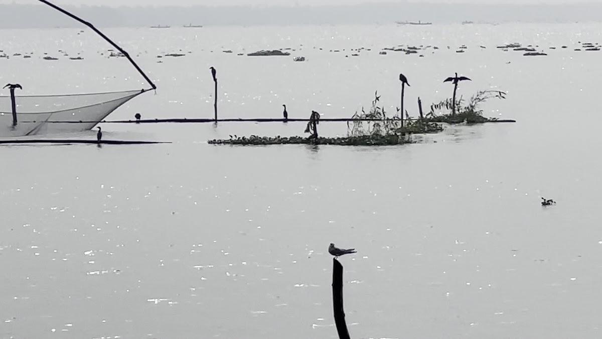 Niraamaya Retreats Backwaters & Beyond, Kumarakom – photo 3