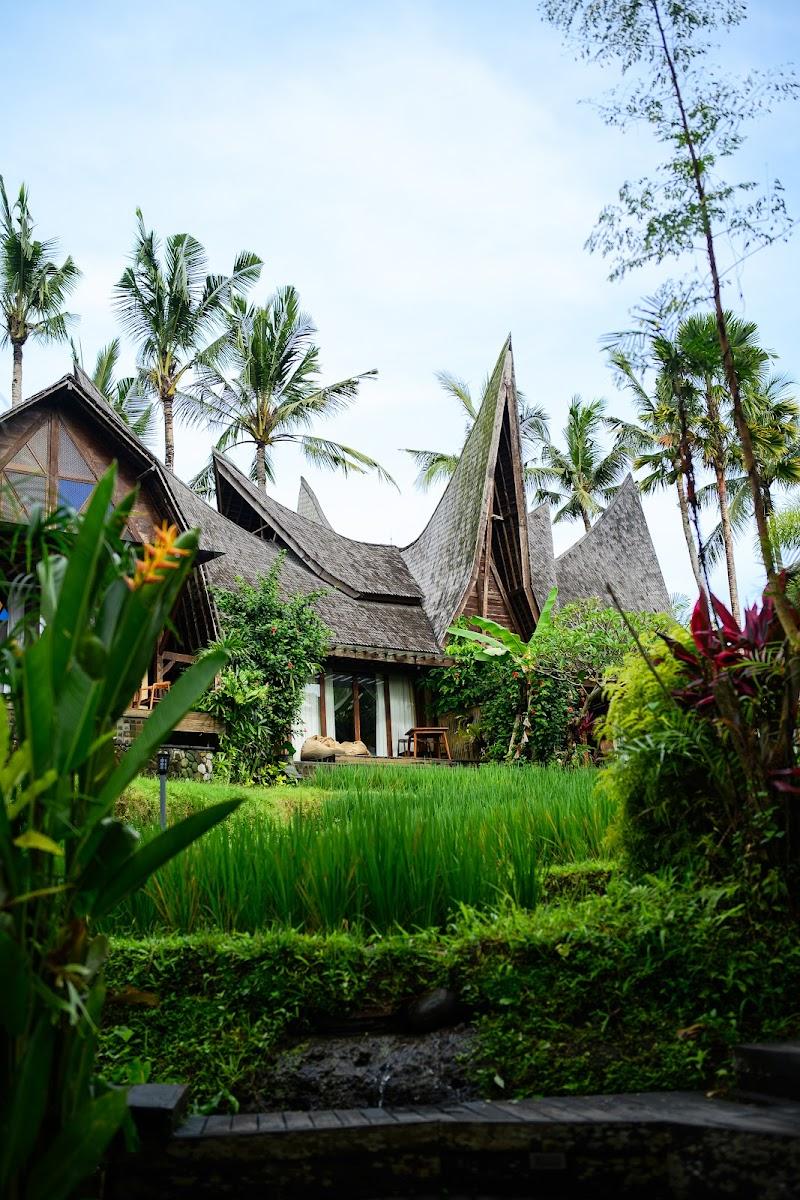 Menzel Ubud – photo 2