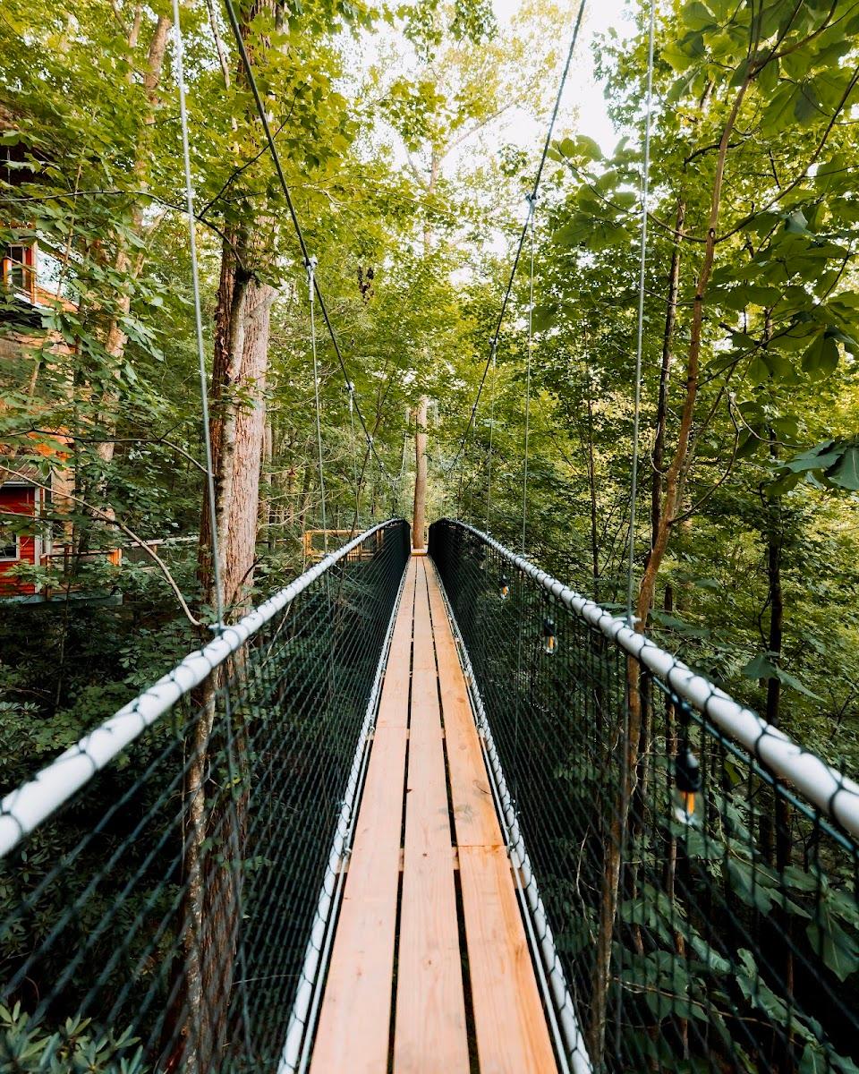 Red River Gorgeous Wilderness Treehouse & Cabin Rental – photo 4