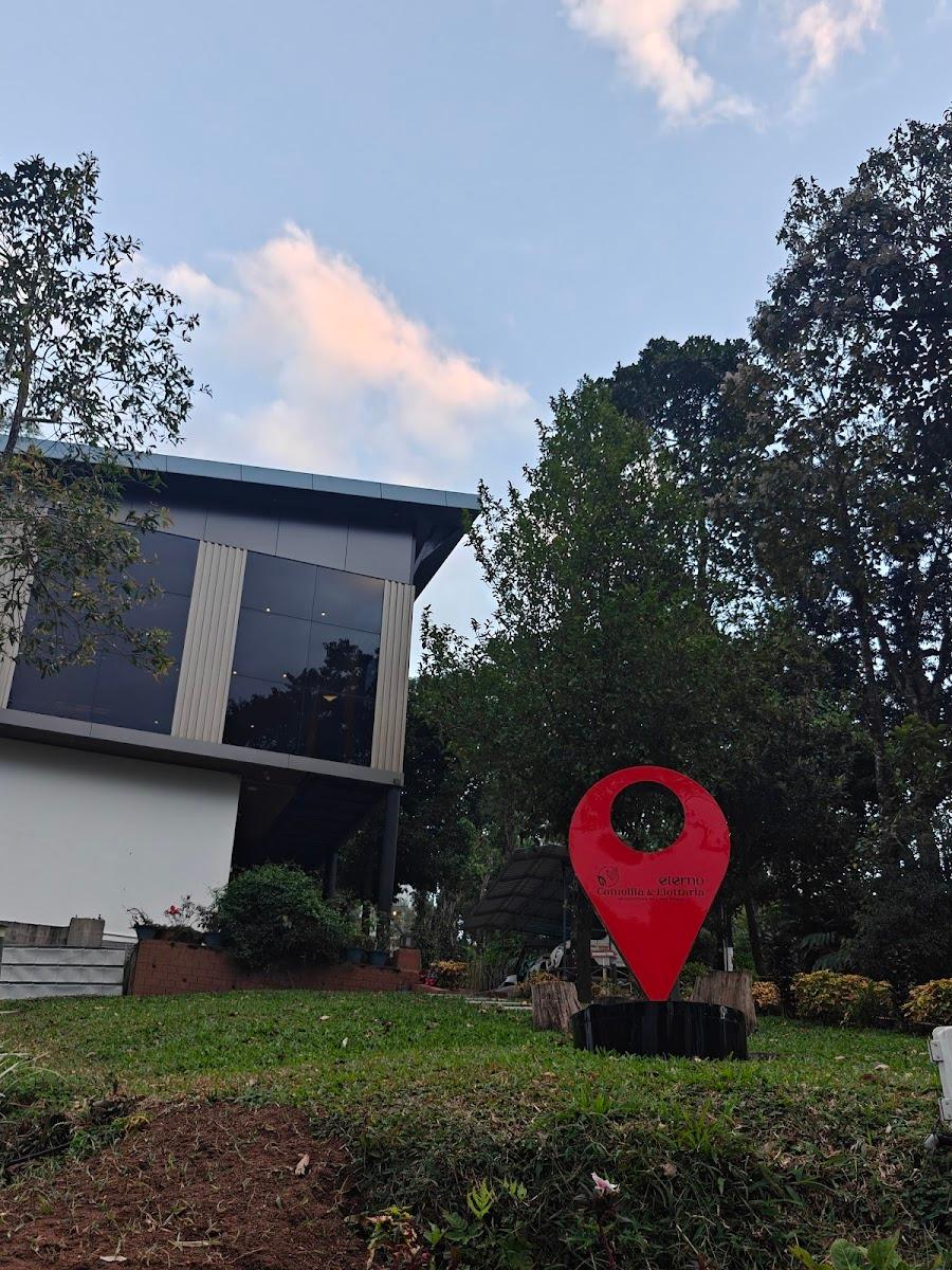 Eterno Camellia & Elettaria Resort Munnar – photo 3