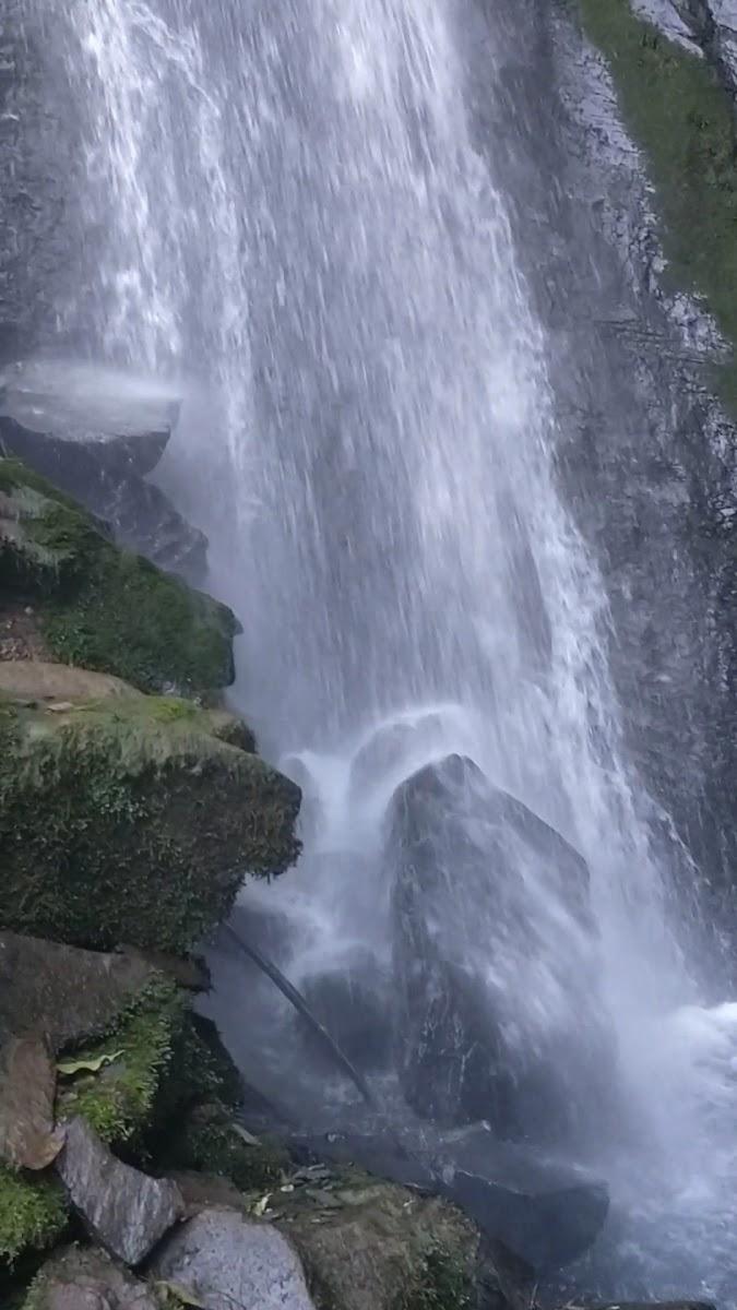 The Cocoon Camps & Nature Resorts, Pangot, Nainital