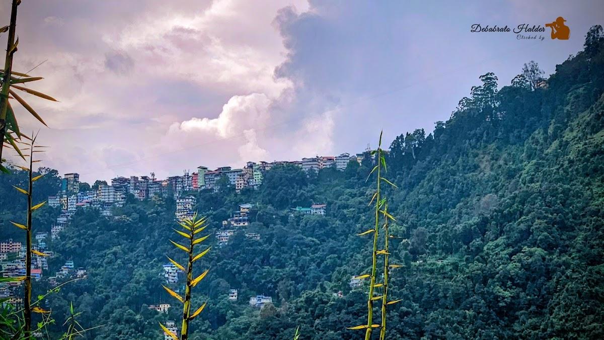 The Piyak Retreat – photo 2