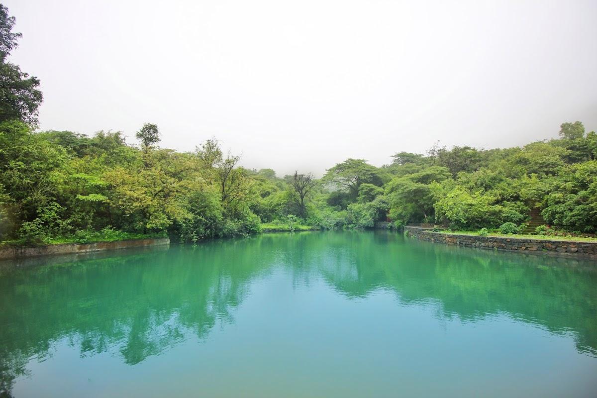 One Earth Retreat – photo 2