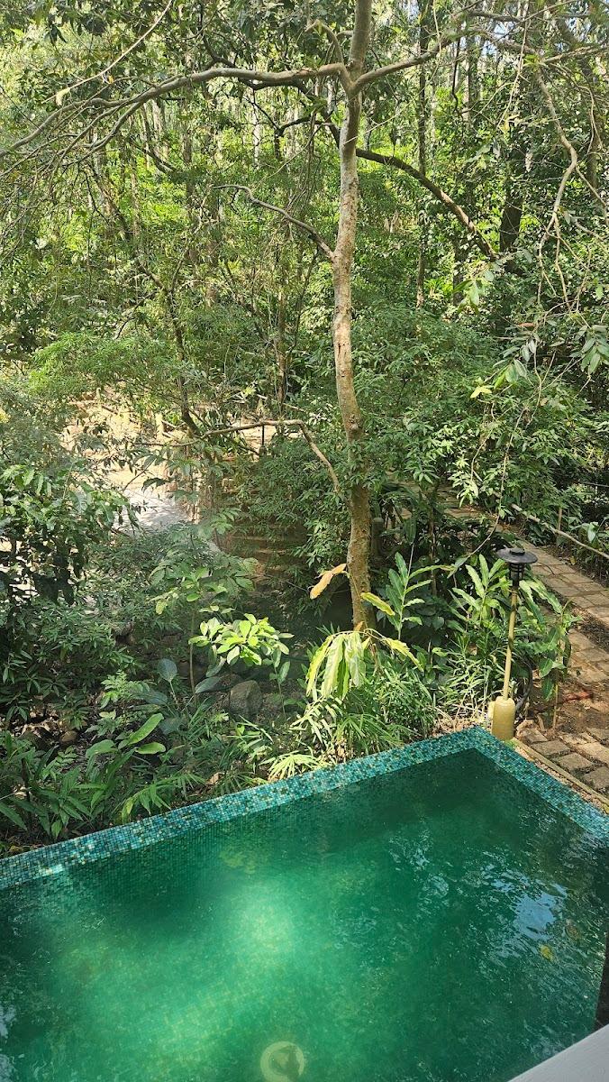 Mystic Mayapott - Kondody Hotels – photo 2