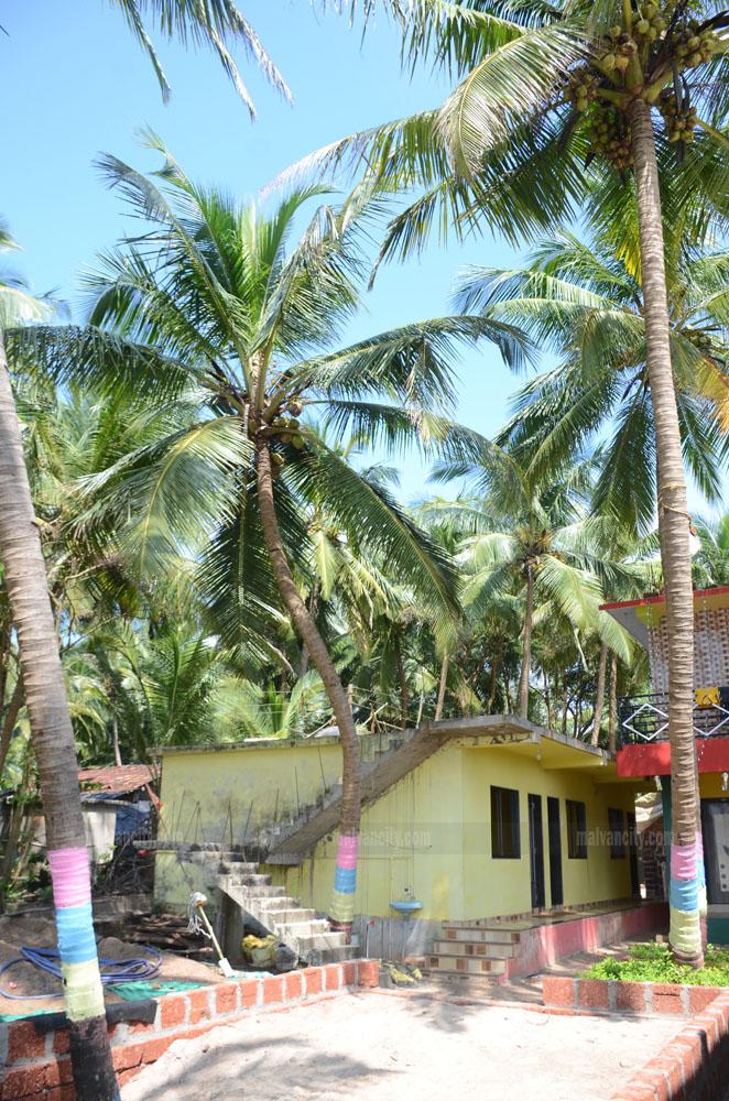 Moreshwar Beach Resort – photo 3