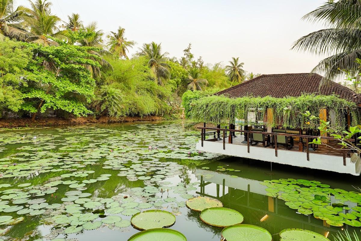 Dindi RVR, on the Godavari, A Club Mahindra Associate Resort – photo 1