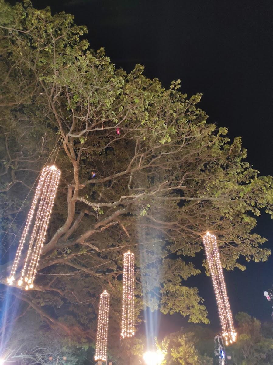 Jayamahal Palace Hotel – photo 2