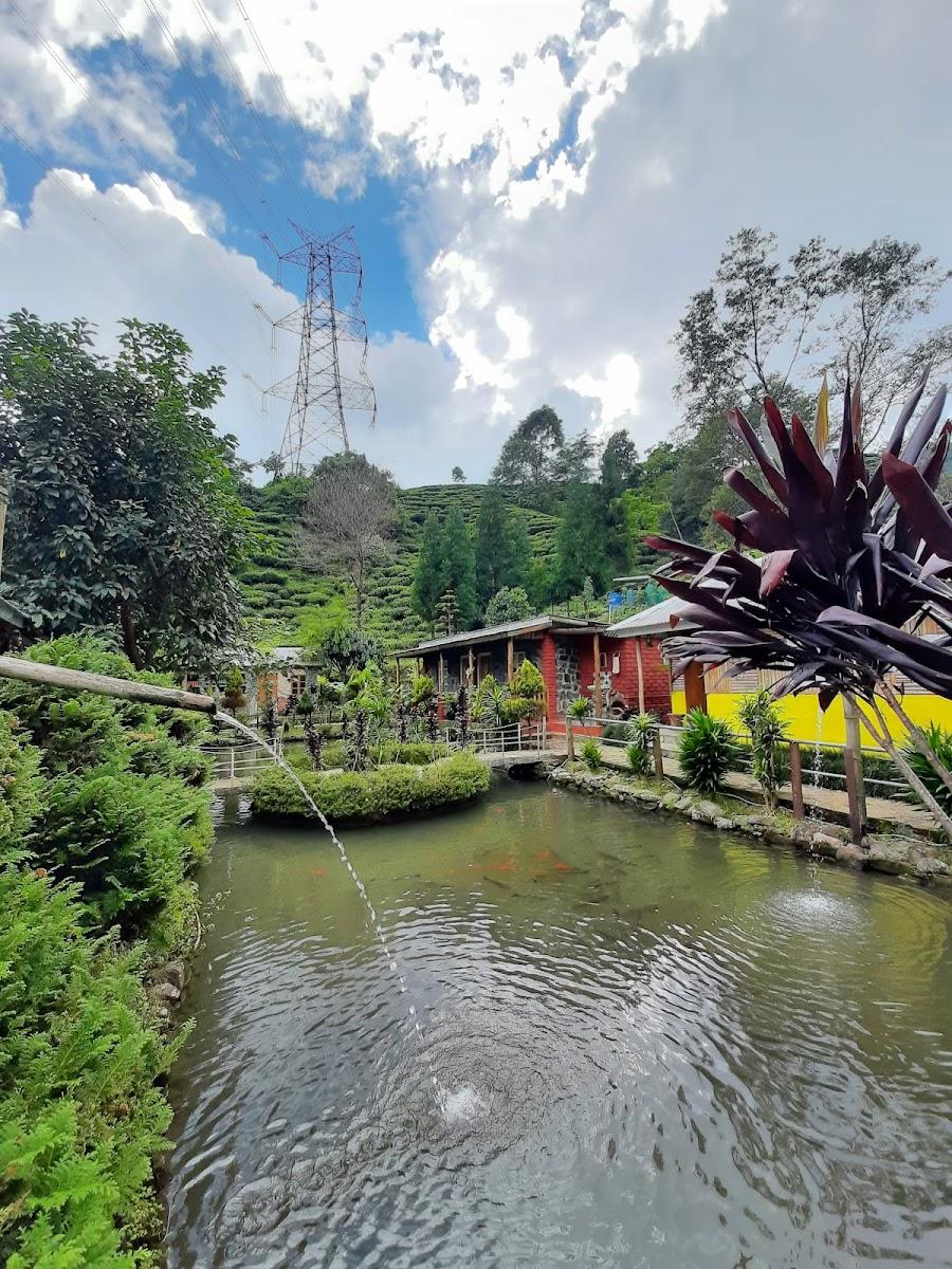 Sunakhari Homestay tabakoshi – photo 4