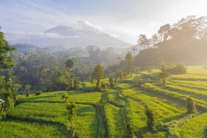 Eco breeze Bamboo Bali – photo 1