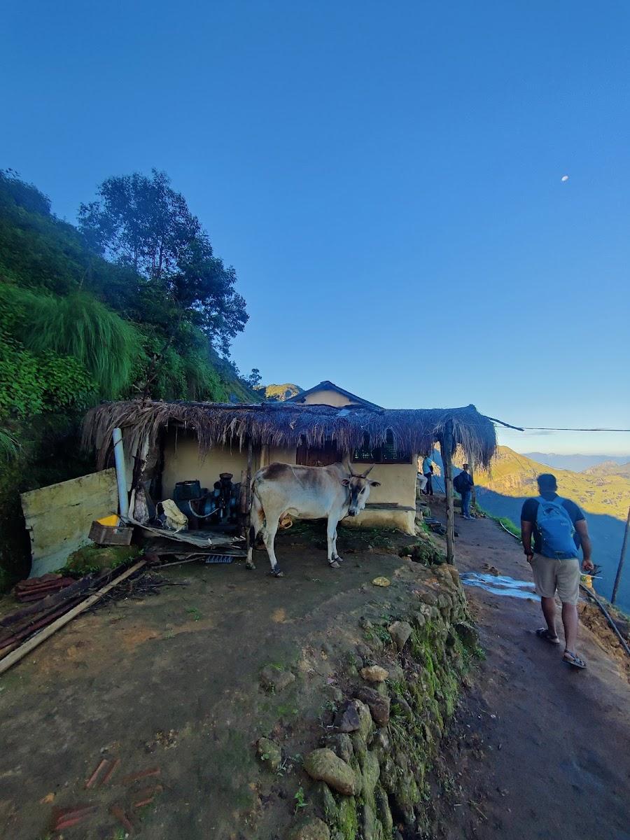 Mud house – photo 2