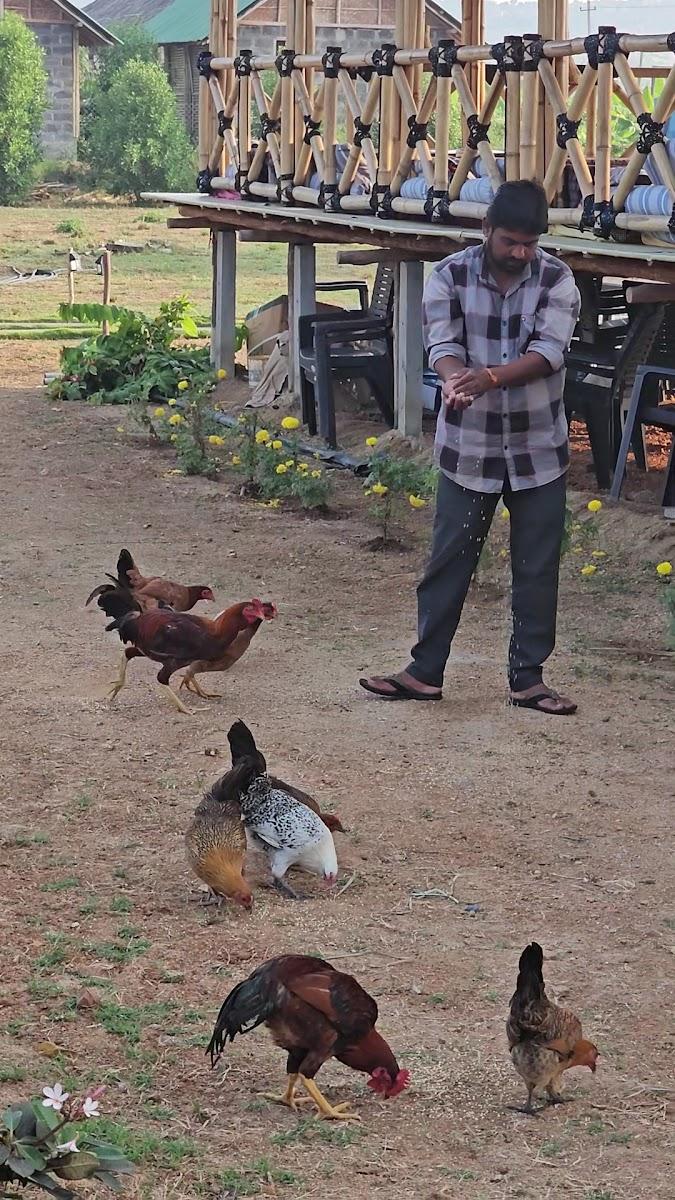 Sunny guest house Hampi – photo 3