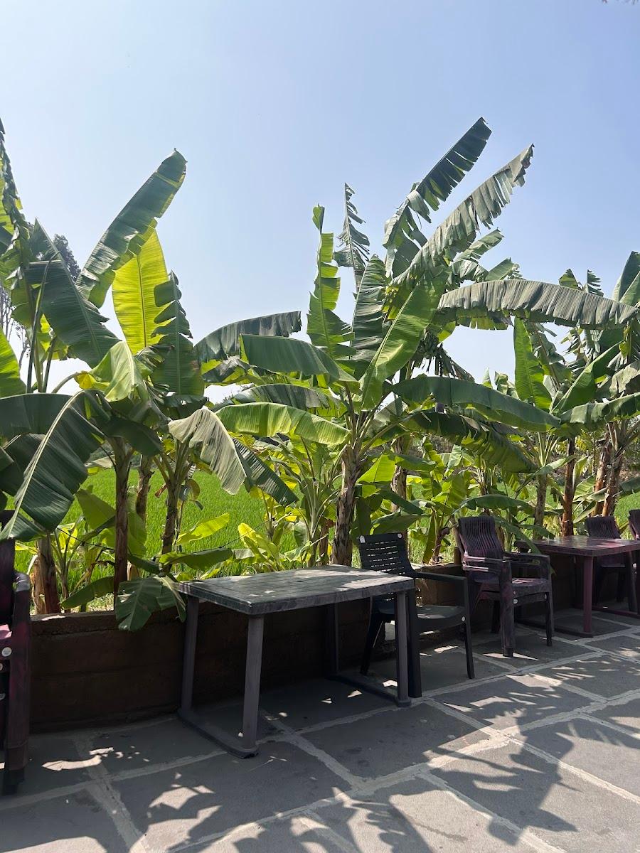 Tropical Hampi🌴 – photo 3
