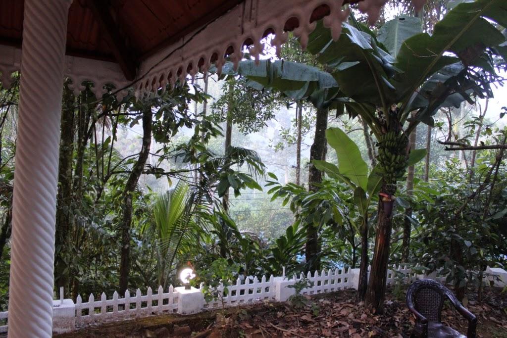 Jojo Cottages – photo 1