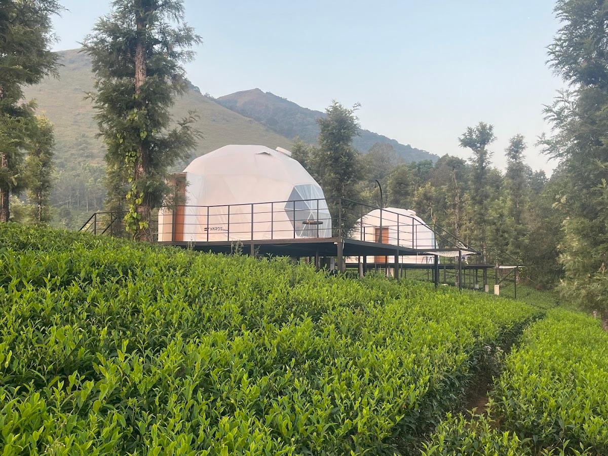 Vythiri Tea Valley – photo 1
