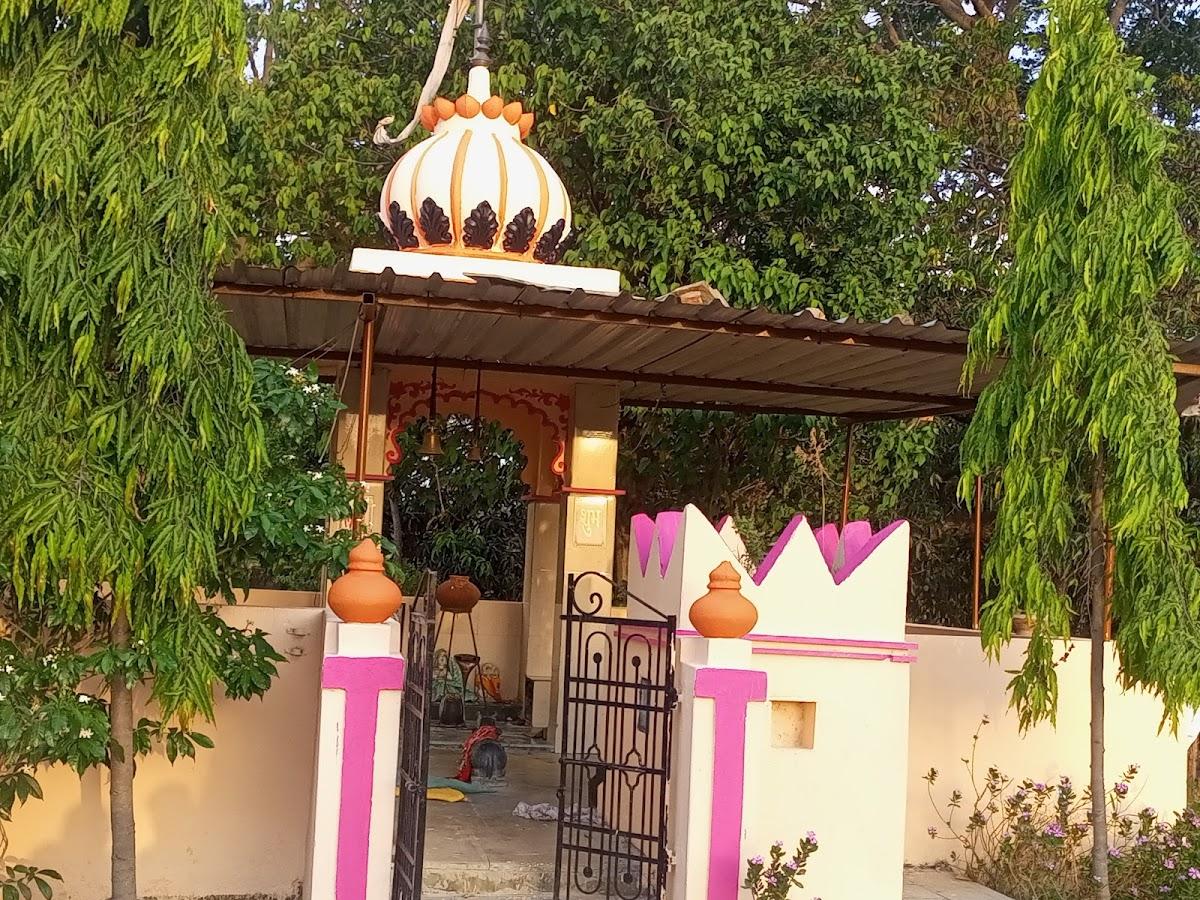 Gogunda Palace, Udaipur – photo 3