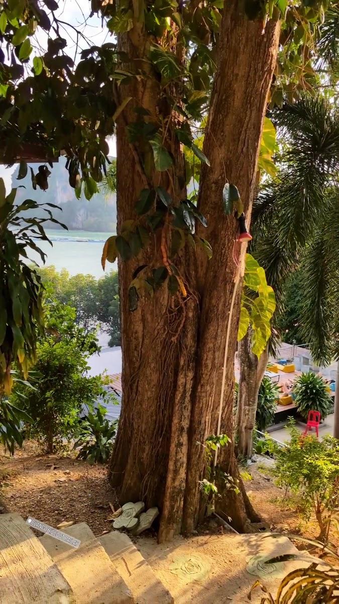 Blanco Hideout Railay – photo 4