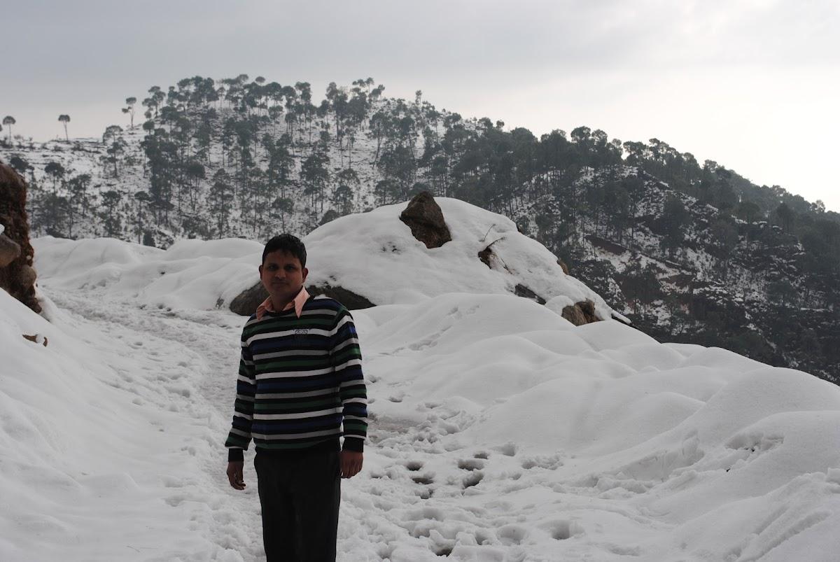 Snow Biscuit Resort – photo 4