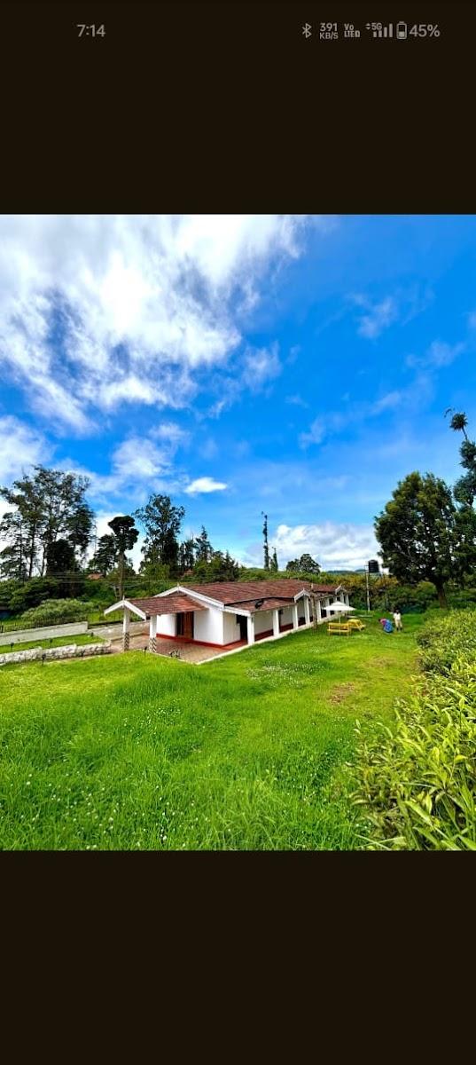 Pine Hood Villa – photo 3