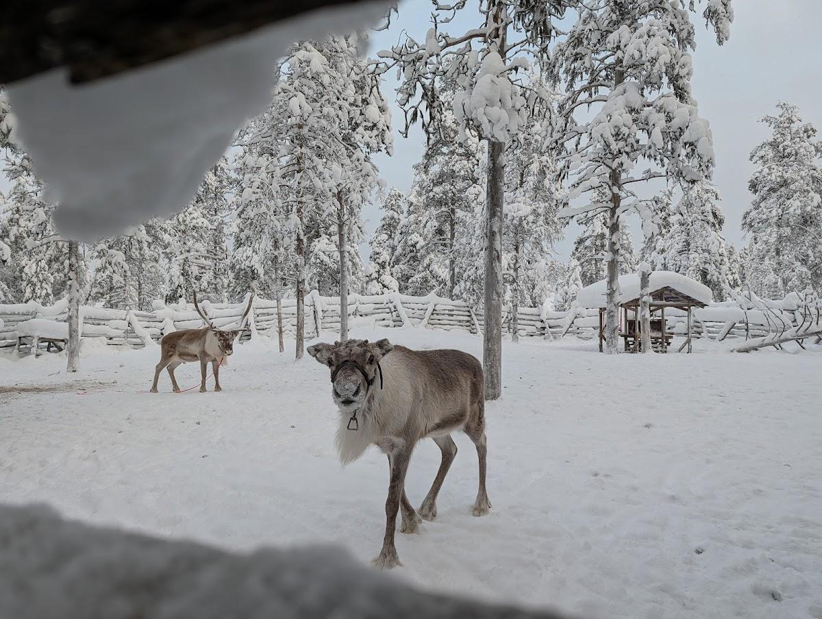 Kakslauttanen Arctic Resort East Village – photo 4