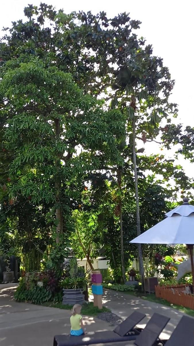 Thavorn Beach Village Resort & Spa – photo 3