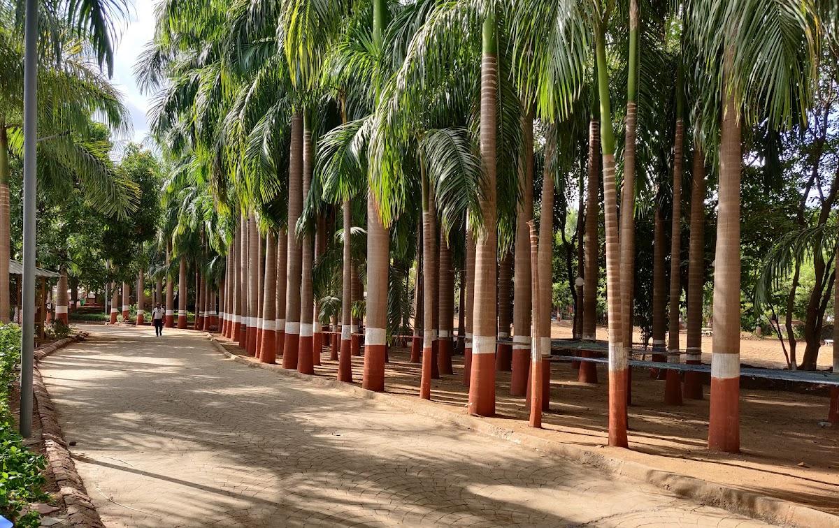 MONTERIA VILLAGE