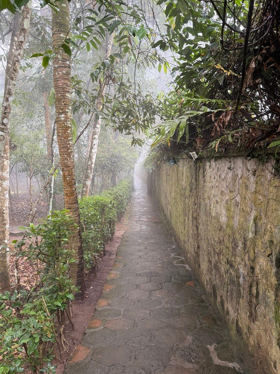 Spice Village – CGH Earth – photo 3