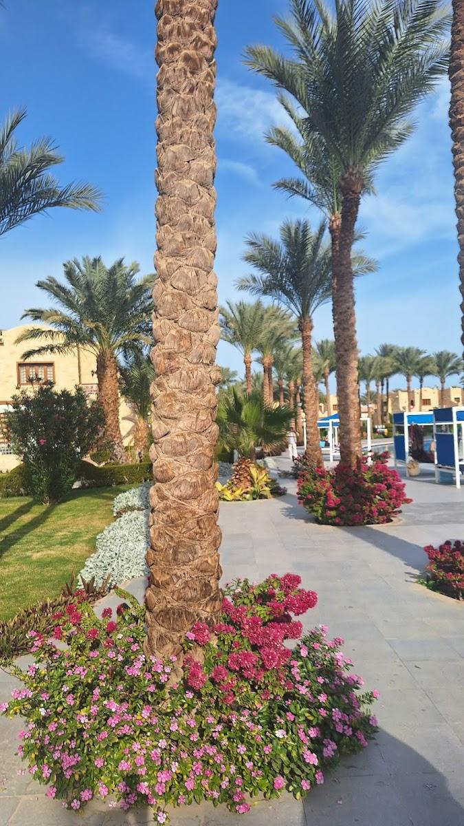 Royal Lagoons Resort & Aqua Park Families and Couples ONLY – photo 4