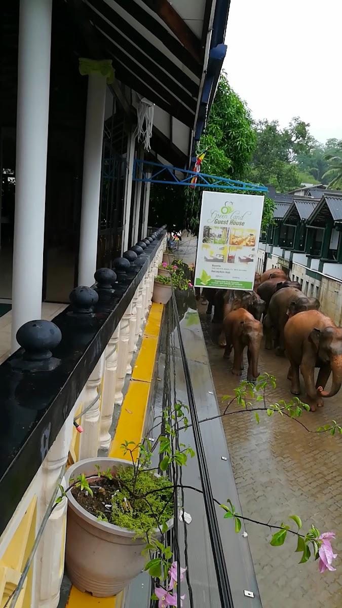 Green Land Guest House – photo 4
