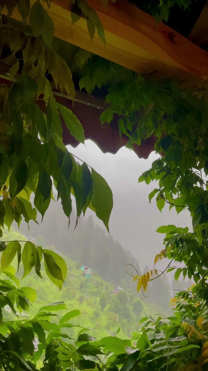 WildAura Homestay – photo 4