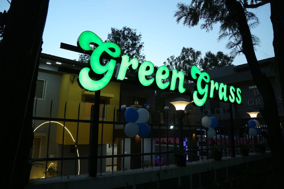 Green grass Villa – photo 4