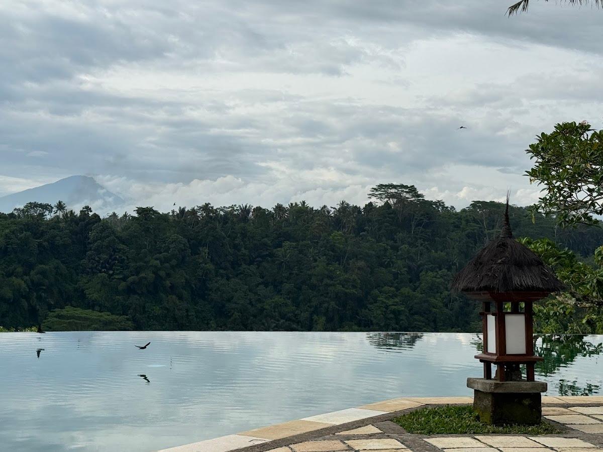 Amandari – photo 4