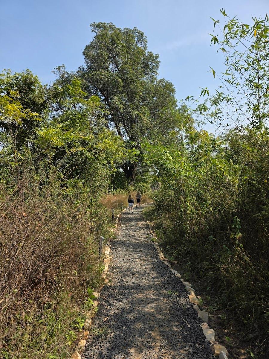 Trees N Tigers Tadoba National Park – photo 3