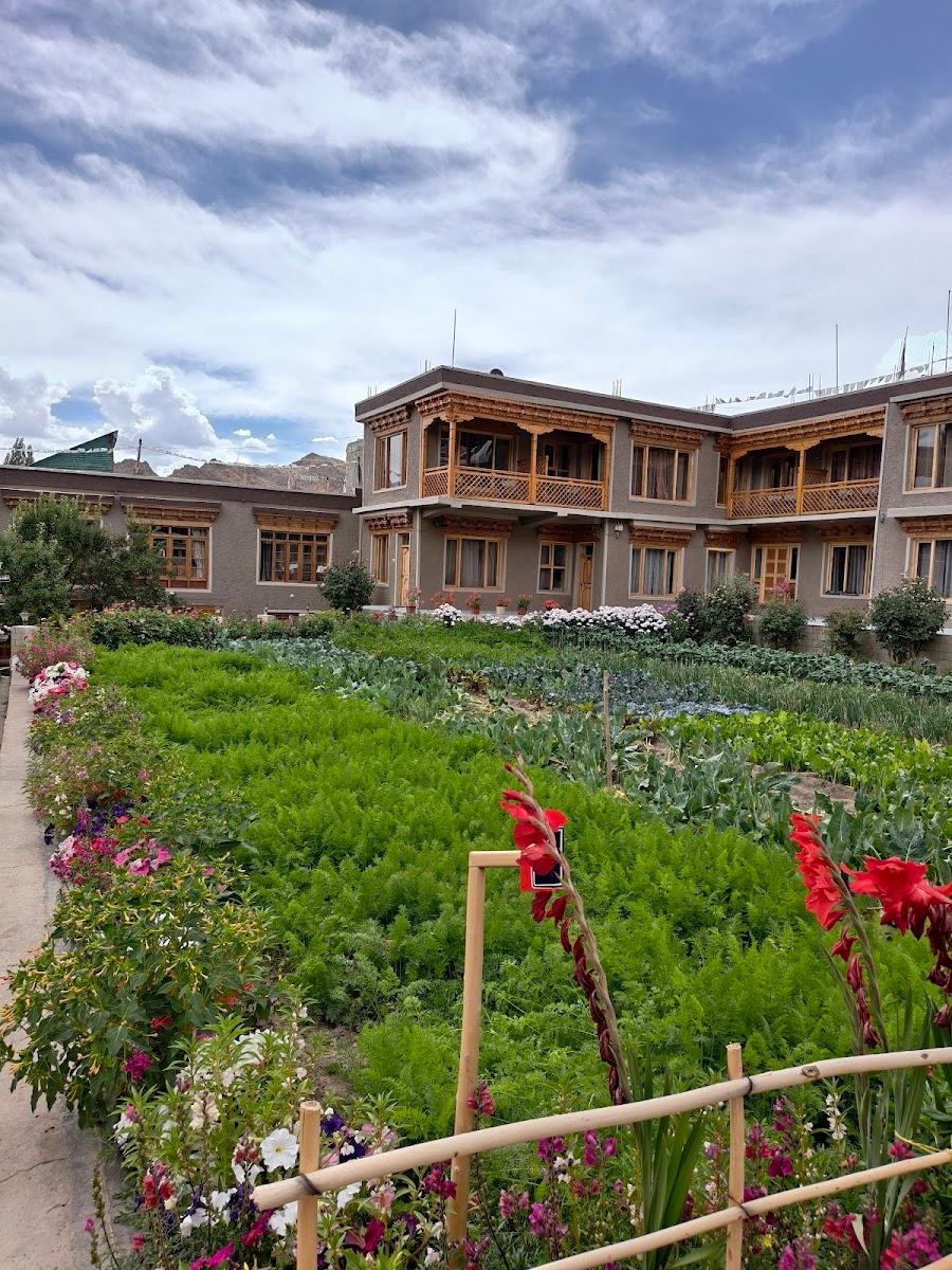 Leh Stumpa – photo 3