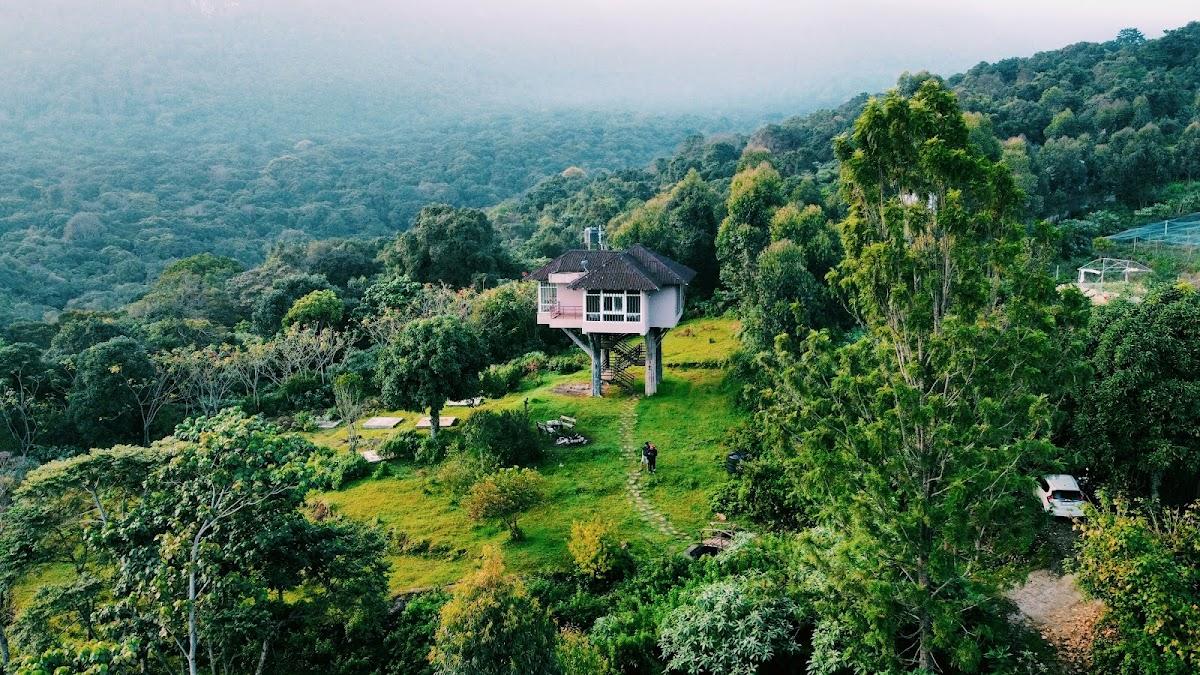 Tree Hut Kanthalloor – photo 3