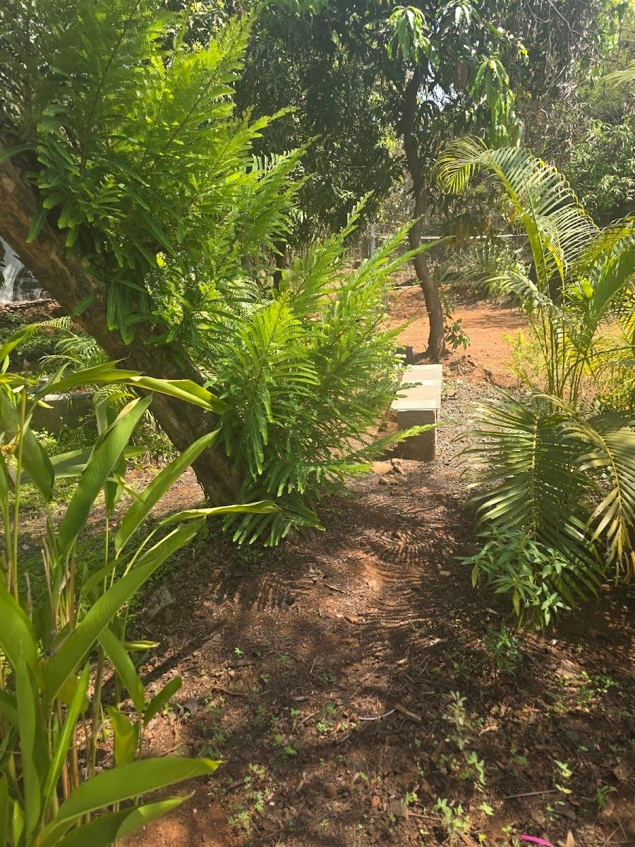 SaffronStays Maativan - Villa in Wada Palghar – photo 4