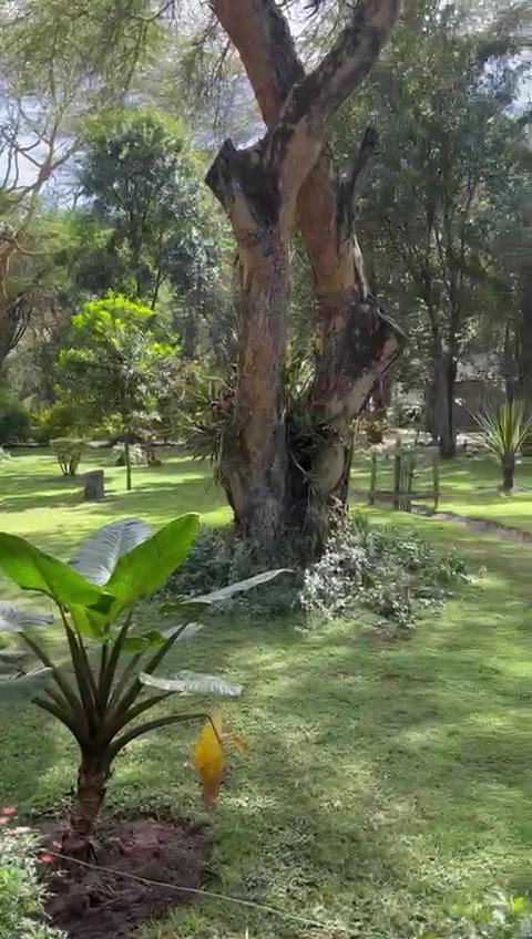Lake Naivasha Simba Lodge – photo 1