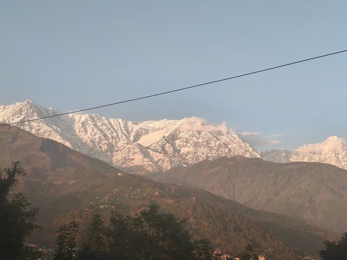 Dhauladhar Heights Resort – photo 3