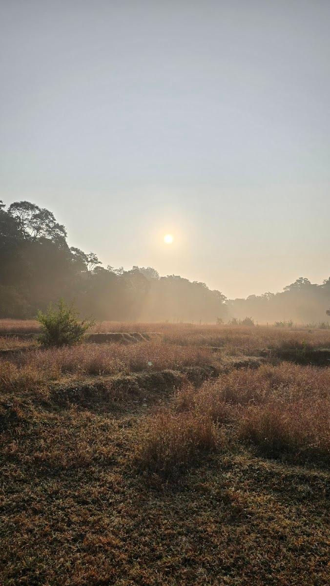 Dandeli Dark Forest – photo 2