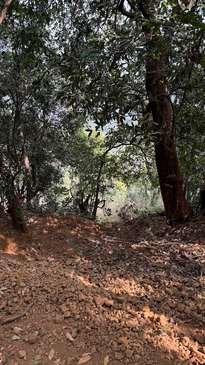 Vasota Fort Jungle trekking and Camping – photo 4