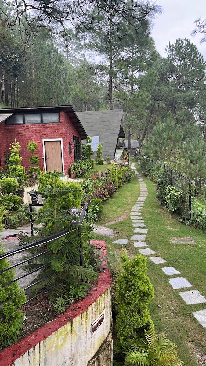 tatvam resort – photo 3