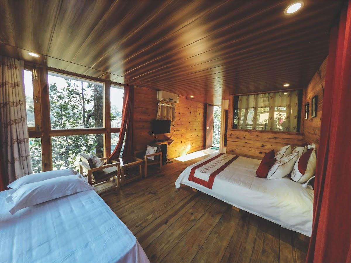 The Sal Woods - Forest Retreat and Spa – photo 4