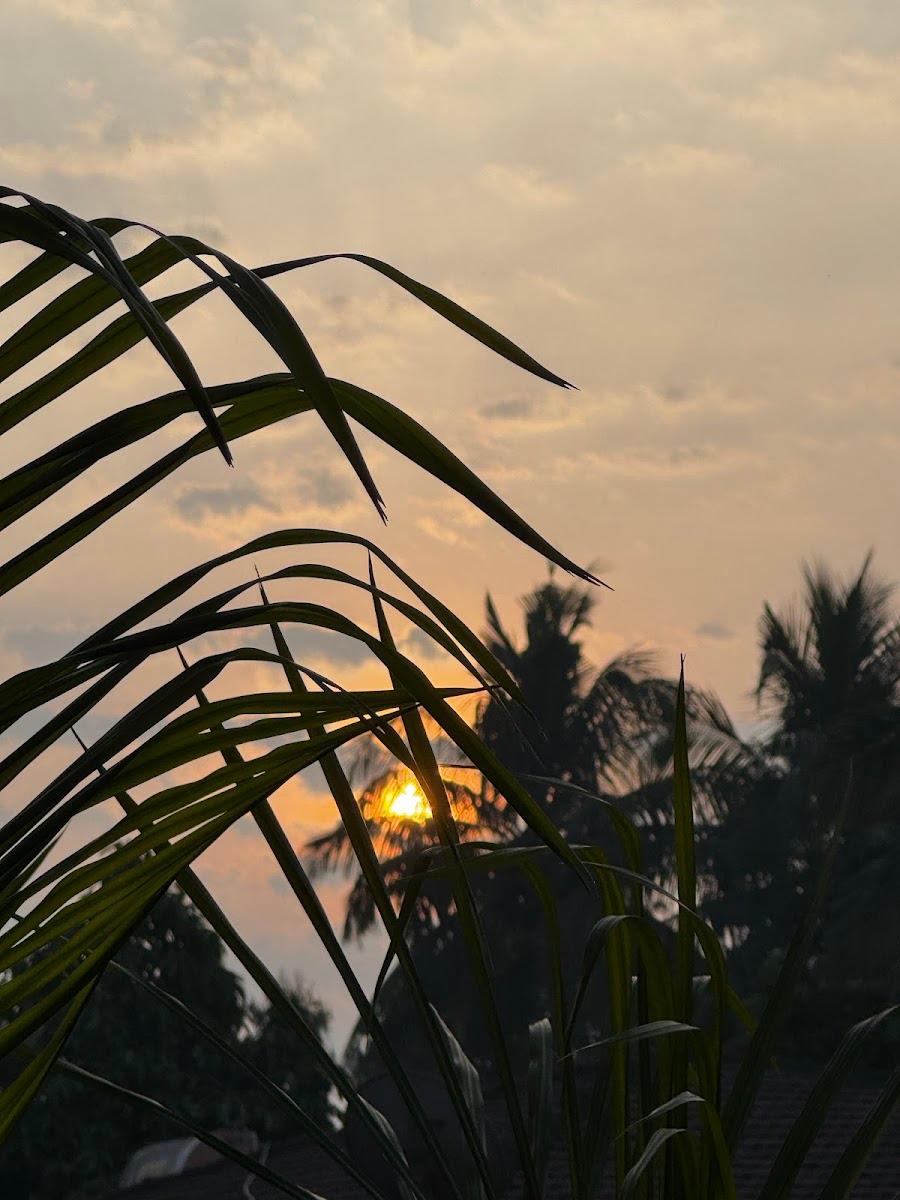 Seashell Suites and Villas Candolim - Boutique Resort Goa – photo 3