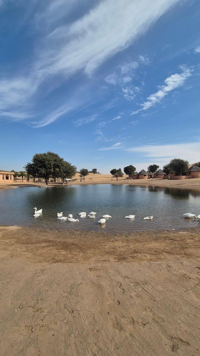 Khimsar Sand Dunes Resort – photo 4