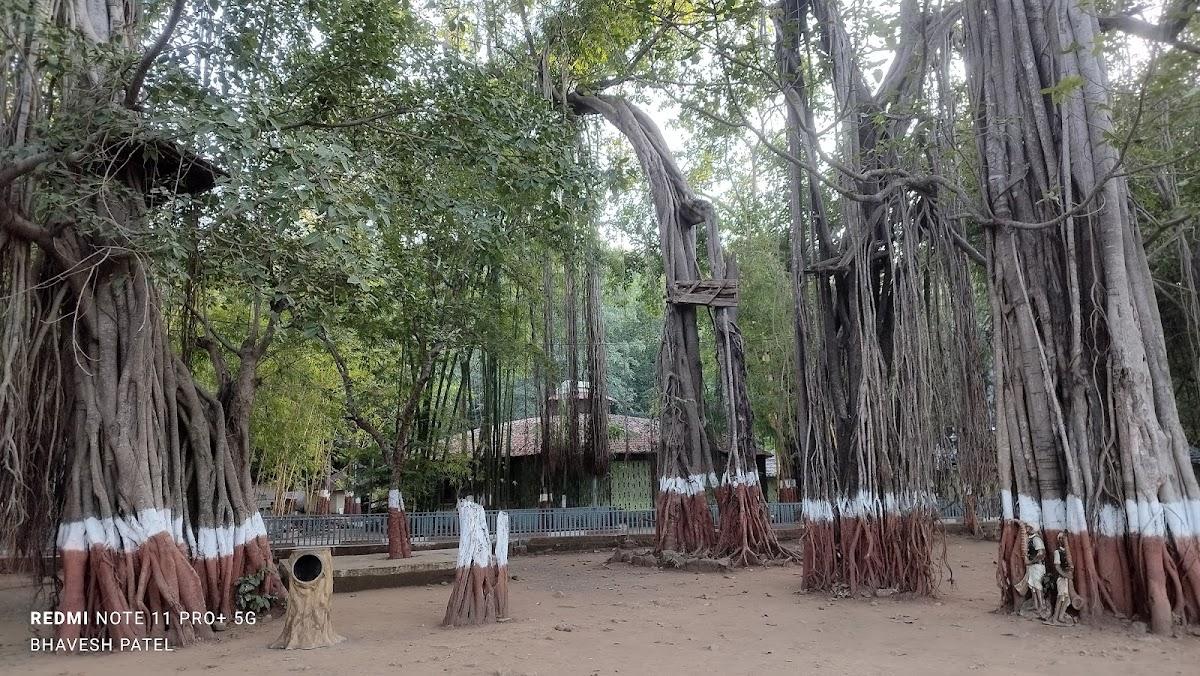 Mahal Eco Tourism Campsite – photo 4