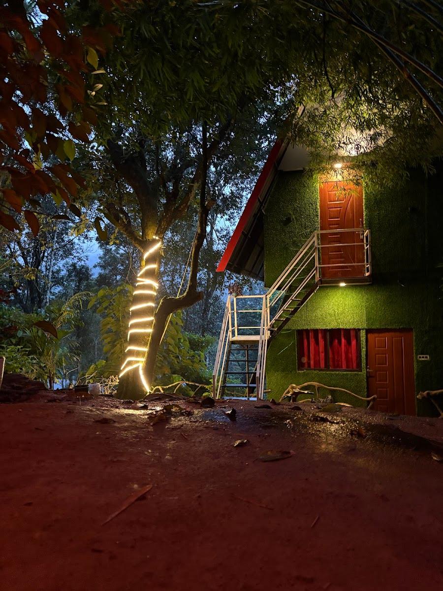Silver Trees Plantation Tree House Munnar – photo 3